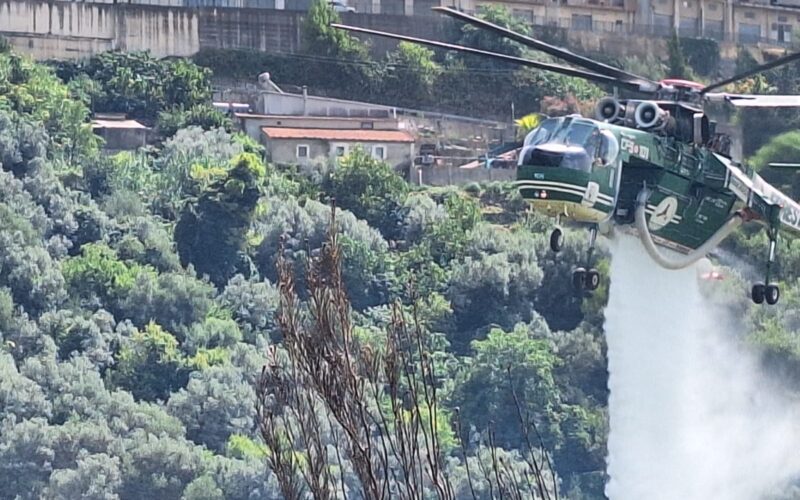 Chiaramonte Gulfi, incendio nell’area forestale di contrada Muti-Santa Lucia